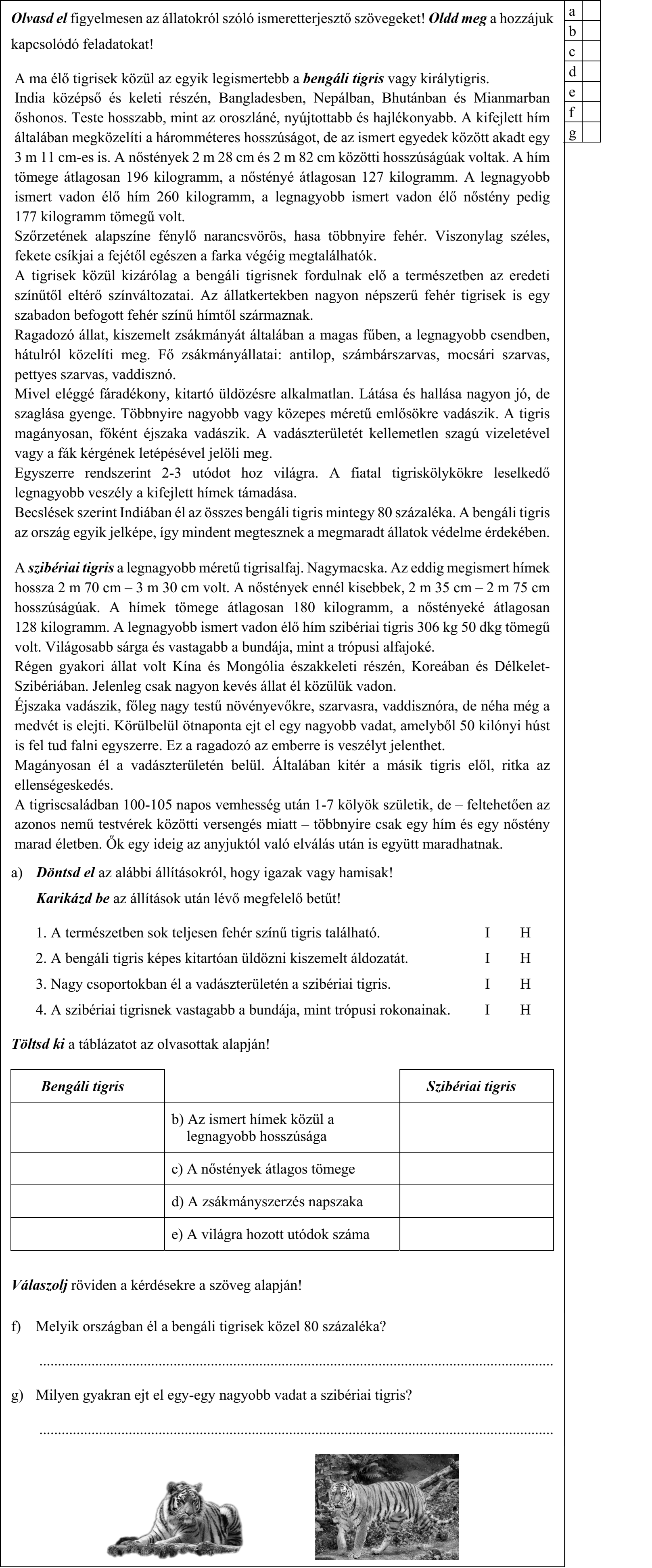 Olvasd el figyelmesen az állatokról szóló ismeretterjesztő szövegeket! Oldd meg a hozzájuk kapcsolódó feladatokat! A ma élő tigrisek közül az egyik legismertebb a bengáli tigris vagy királytigris. India középső és keleti részén, Bangladesben, Nepálban, Bhutánban és Mianmarban őshonos. Teste hosszabb, mint az oroszláné, nyújtottabb és hajlékonyabb. A kifejlett hím általában megközelíti a háromméteres hosszúságot, de az ismert egyedek között akadt egy 3 m 11 cm-es is. A nőstények 2 m 28 cm és 2 m 82 cm közötti hosszúságúak voltak. A hím tömege átlagosan 196 kilogramm, a nőstényé átlagosan 127 kilogramm. A legnagyobb ismert vadon élő hím 260 kilogramm, a legnagyobb ismert vadon élő nőstény pedig 177 kilogramm tömegű volt. Szőrzetének alapszíne fénylő narancsvörös, hasa többnyire fehér. Viszonylag széles, fekete csíkjai a fejétől egészen a farka végéig megtalálhatók. A tigrisek közül kizárólag a bengáli tigrisnek fordulnak elő a természetben az eredeti színűtől eltérő színváltozatai. Az állatkertekben nagyon népszerű fehér tigrisek is egy szabadon befogott fehér színű hímtől származnak. Ragadozó állat, kiszemelt zsákmányát általában a magas fűben, a legnagyobb csendben, hátulról közelíti meg. Fő zsákmányállatai: antilop, számbárszarvas, mocsári szarvas, pettyes szarvas, vaddisznó. Mivel eléggé fáradékony, kitartó üldözésre alkalmatlan. Látása és hallása nagyon jó, de szaglása gyenge. Többnyire nagyobb vagy közepes méretű emlősökre vadászik. A tigris magányosan, főként éjszaka vadászik. A vadászterületét kellemetlen szagú vizeletével vagy a fák kérgének letépésével jelöli meg. Egyszerre rendszerint 2-3 utódot hoz világra. A fiatal tigriskölykökre leselkedő legnagyobb veszély a kifejlett hímek támadása. Becslések szerint Indiában él az összes bengáli tigris mintegy 80 százaléka. A bengáli tigris az ország egyik jelképe, így mindent megtesznek a megmaradt állatok védelme érdekében. A szibériai tigris a legnagyobb méretű tigrisalfaj. Nagymacska. Az eddig megismert hímek hossza 2 m 70 cm – 3 m 30 cm volt. A nőstények ennél kisebbek, 2 m 35 cm – 2 m 75 cm hosszúságúak. A hímek tömege átlagosan 180 kilogramm, a nőstényeké átlagosan 128 kilogramm. A legnagyobb ismert vadon élő hím szibériai tigris 306 kg 50 dkg tömegű volt. Világosabb sárga és vastagabb a bundája, mint a trópusi alfajoké. Régen gyakori állat volt Kína és Mongólia északkeleti részén, Koreában és Délkelet- Szibériában. Jelenleg csak nagyon kevés állat él közülük vadon. Éjszaka vadászik, főleg nagy testű növényevőkre, szarvasra, vaddisznóra, de néha még a medvét is elejti. Körülbelül ötnaponta ejt el egy nagyobb vadat, amelyből 50 kilónyi húst is fel tud falni egyszerre. Ez a ragadozó az emberre is veszélyt jelenthet. Magányosan él a vadászterületén belül. Általában kitér a másik tigris elől, ritka az ellenségeskedés. A tigriscsaládban 100-105 napos vemhesség után 1-7 kölyök születik, de – feltehetően az azonos nemű testvérek közötti versengés miatt – többnyire csak egy hím és egy nőstény marad életben. Ők egy ideig az anyjuktól való elválás után is együtt maradhatnak. 4. évfolyam — MNy1 feladatlap / 5 a) Döntsd el az alábbi állításokról, hogy igazak vagy hamisak! Karikázd be az állítások után lévő megfelelő betűt! 1. A természetben sok teljesen fehér színű tigris található. 2. A bengáli tigris képes kitartóan üldözni kiszemelt áldozatát. 3. Nagy csoportokban él a vadászterületén a szibériai tigris. 4. A szibériai tigrisnek vastagabb a bundája, mint trópusi rokonainak. Töltsd ki a táblázatot az olvasottak alapján! Bengáli tigris Szibériai tigris b) Az ismert hímek közül a legnagyobb hosszúsága c) A nőstények átlagos tömege d) A zsákmányszerzés napszaka e) A világra hozott utódok száma Válaszolj röviden a kérdésekre a szöveg alapján! f) Melyik országban él a bengáli tigrisek közel 80 százaléka? g) Milyen gyakran ejt el egy-egy nagyobb vadat a szibériai tigris? 4. évfolyam — MNy1 feladatlap / 6